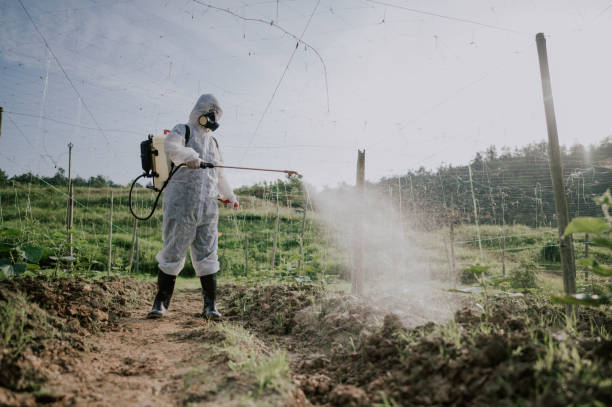 Best Commercial Pest Control Services  in Toccoa, GA