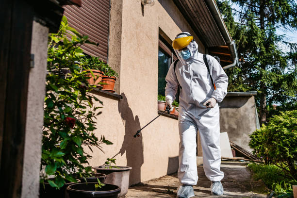 Best Pest Control for Restaurants  in Toccoa, GA