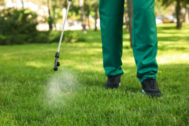 Reliable Toccoa, GA Pest Control Solutions