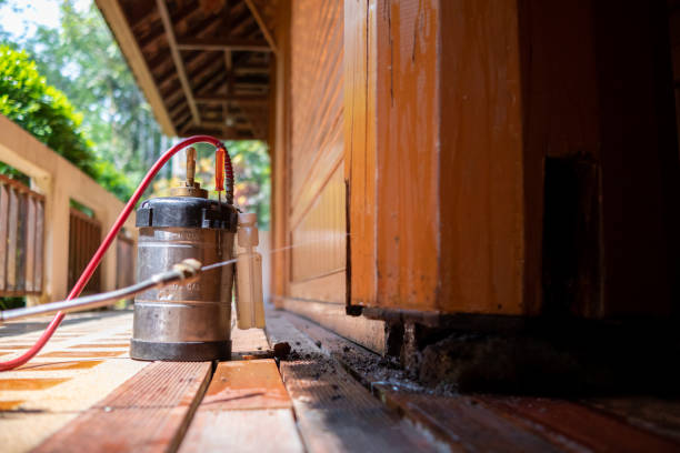 Best Cockroach Control Services  in Toccoa, GA