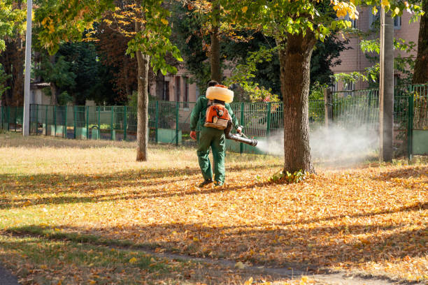 Best Cockroach Control Services  in Toccoa, GA