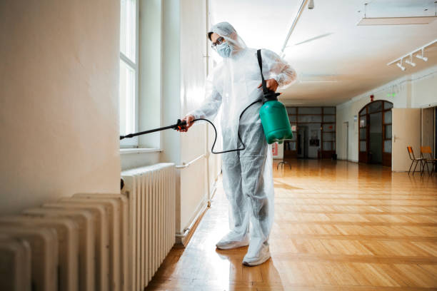 Best Pest Control Near Me in Toccoa, GA